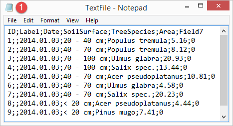 TextFile